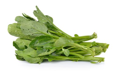 Çin hardalı (Nontoxic beyaz zemin üzerine yeşil)