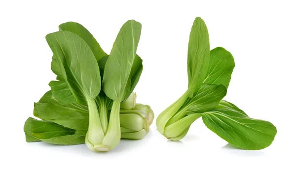 Bok choy овощ на белом фоне — стоковое фото