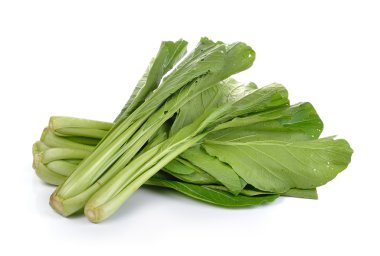 Çin hardalı (Nontoxic beyaz zemin üzerine yeşil)