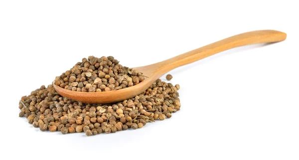 Coriander seed in the wood spoon on white background — Stock Photo, Image