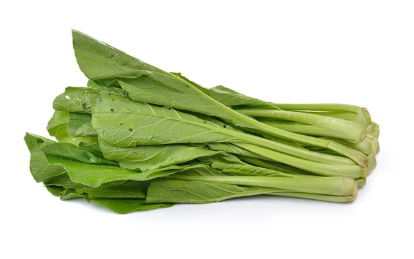 Verde mostaza chino sobre fondo blanco (No tóxico ) — Foto de Stock