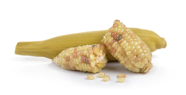 Wasachtige maïs op witte achtergrond — Stockfoto