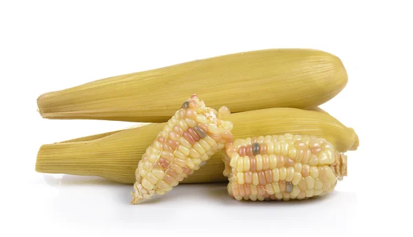 Woskowa kukurydza na białym tle — Zdjęcie stockowe