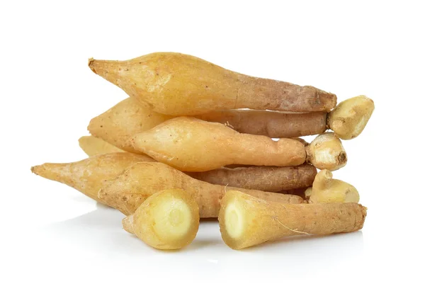 Fingerroot, Kaempfer, Boesenbergia, white background — 스톡 사진