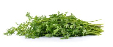 beyaz zemin üzerine kişniş