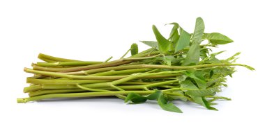 Beyaz arka planda sabah zaferi