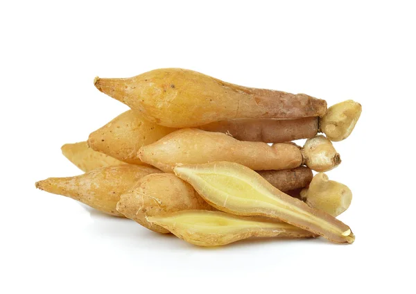 Fingerroot，坎普弗尔，在白色背景上的 boesenbergia — 图库照片