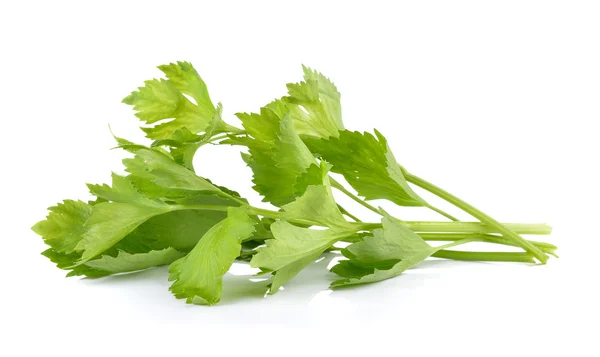 Fresh green celery isolated on white background — Stock Photo, Image