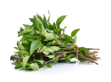 Reyhan beyaz zemin üzerine