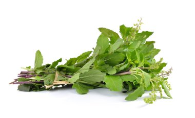 Beyaz arka plan üzerinde izole kutsal fesleğen ya da Mehmet yaprakları