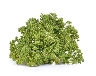 taze Zanthozylum limonella Alston beyaz arka plan üzerinde