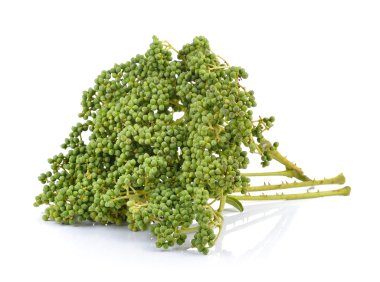 taze Zanthozylum limonella Alston beyaz arka plan üzerinde