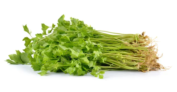 Verse groene selderij geïsoleerd op witte achtergrond — Stockfoto