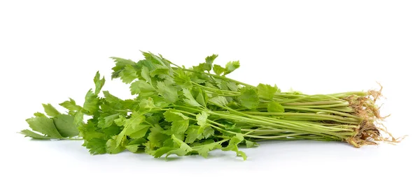 白色背景的新鲜绿色芹菜 — 图库照片