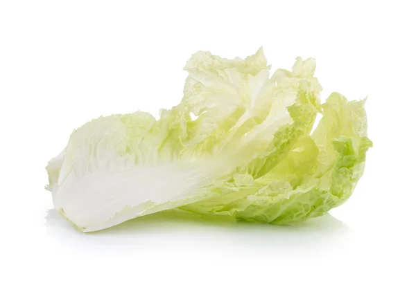 Chinese Cabbage on white background — Stock Photo, Image
