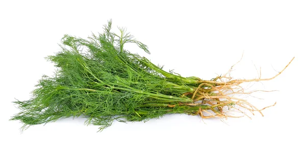 Dill on white background — Stock Photo, Image