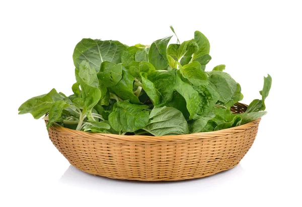 Spinach in the basket on white background — Stock Photo, Image