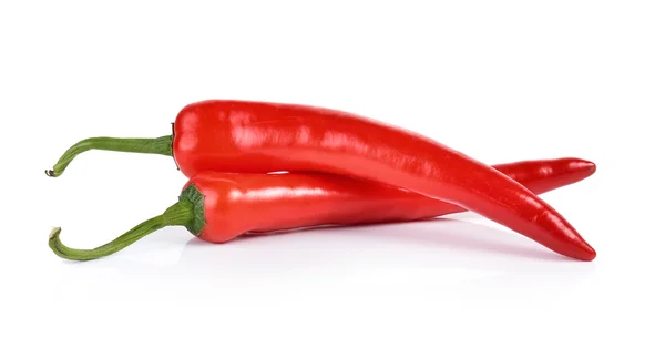 Red chili pepper isolated on a white background — Stock Photo, Image