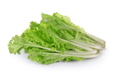 Sepette Beyaz arka plan üzerinde izole marul yaprakları