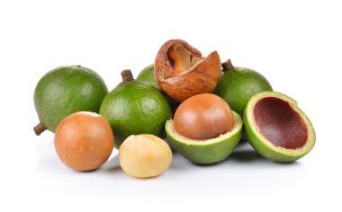 taze macadamia fındık beyaz bir arka plan üzerinde