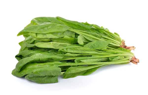 Spinach on white background — Stock Photo, Image