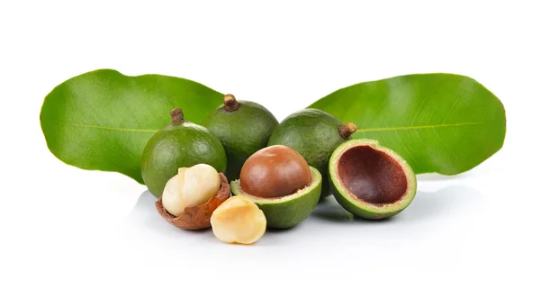 Frische Macadamia-Nuss auf weißem Hintergrund — Stockfoto