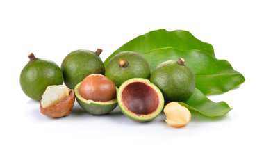 taze macadamia fındık beyaz bir arka plan üzerinde