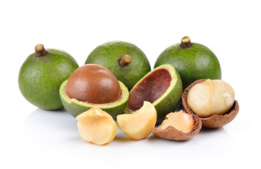 taze macadamia fındık beyaz bir arka plan üzerinde
