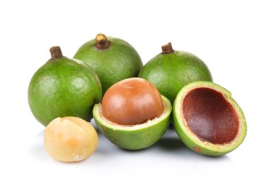 taze macadamia fındık beyaz bir arka plan üzerinde