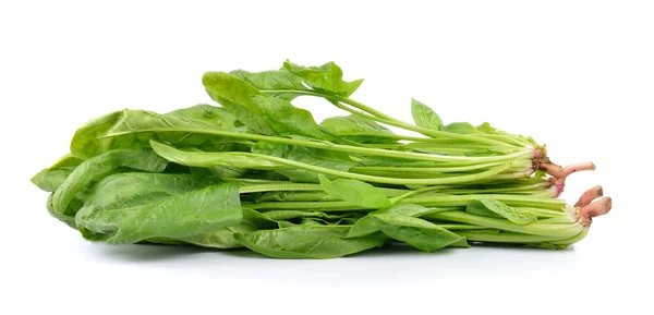 Spinach on white background — Stock Photo, Image