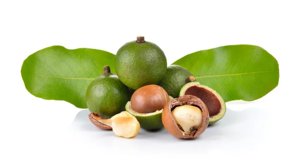 Frische Macadamia-Nuss auf weißem Hintergrund — Stockfoto