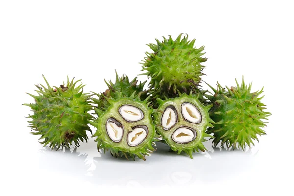 Beyaz arka planda hintyağı fabrikası