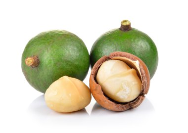 taze macadamia fındık beyaz bir arka plan üzerinde