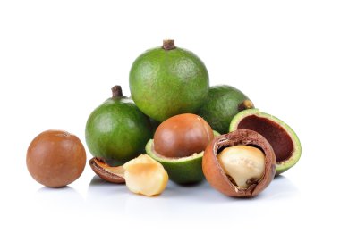 taze macadamia fındık beyaz bir arka plan üzerinde