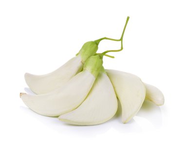 Beyaz Agasta, beyaz arka plan üzerinde Tay sebze