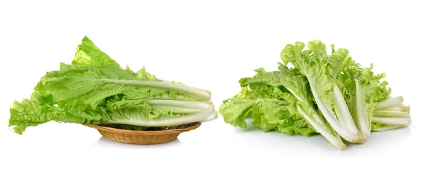 Salatblätter isoliert auf weißem Hintergrund — Stockfoto