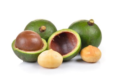 taze macadamia fındık beyaz bir arka plan üzerinde