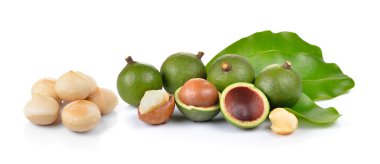 taze macadamia fındık beyaz bir arka plan üzerinde