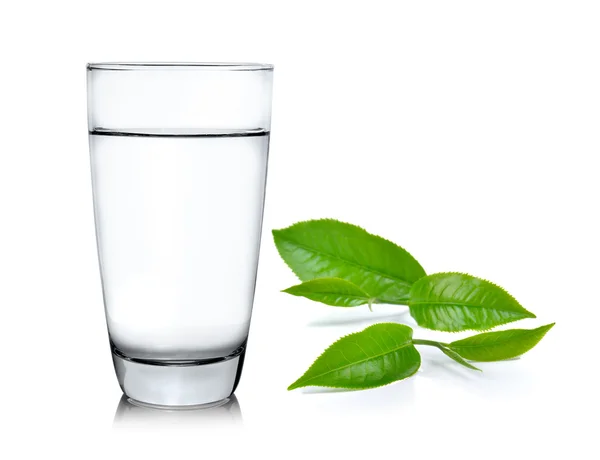Copo de água e folhas de chá ilsolado no fundo branco — Fotografia de Stock