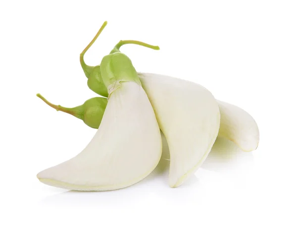 White Agasta ,Thai vegetable on white background — Stock Photo, Image