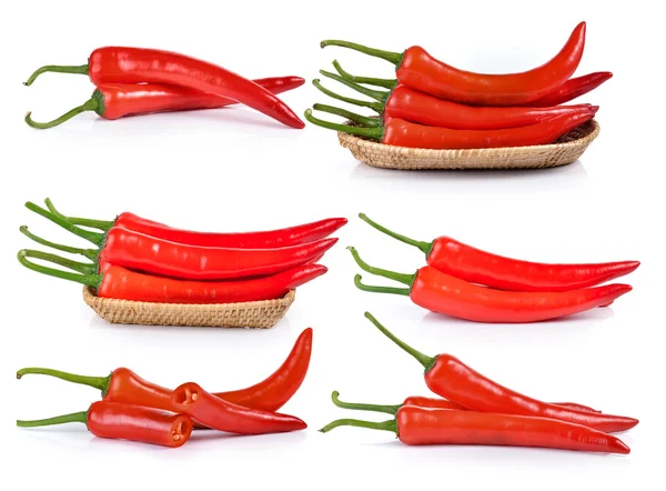 Piros chili paprika izolált fehér alapon — Stock Fotó