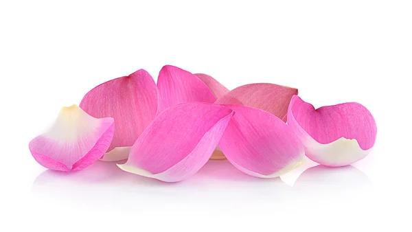 Närbild på lotus kronblad på vit bakgrund — Stockfoto