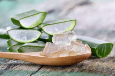 Aloe Vera cilt bakımı için kaplıcada kullanın