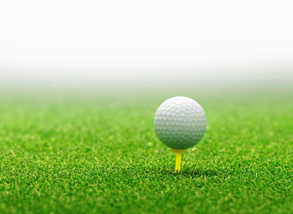 Golf ball on tee — Stock Photo, Image