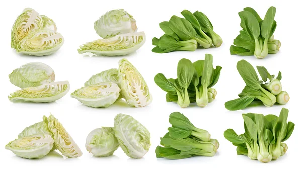 Kohl und Bok Choy Gemüse auf weißem Hintergrund — Stockfoto