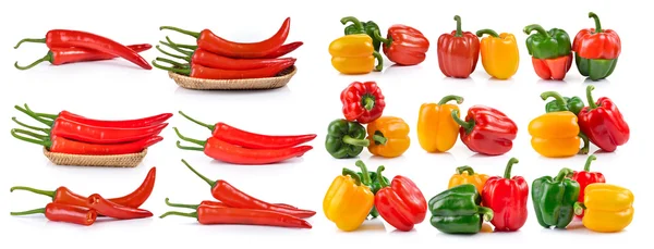Rode chili peper geïsoleerd op een witte achtergrond — Stockfoto
