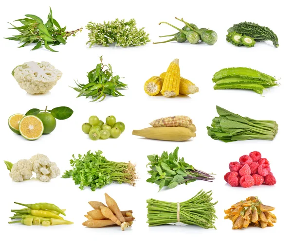 Conjunto de verduras sobre fondo blanco — Foto de Stock