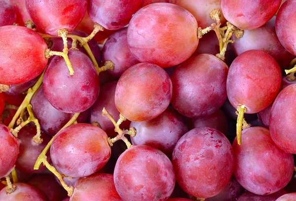 Red grapes background — Stock Photo, Image