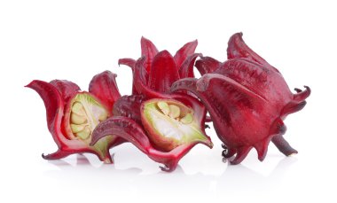 Roselle beyaz zemin üzerine