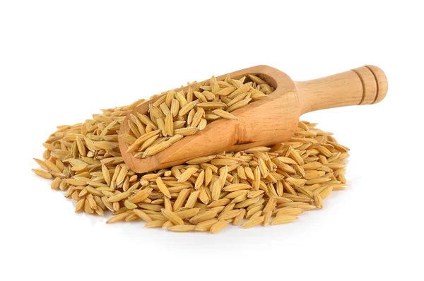 Rýžová zrna izolované na bílém pozadí — Stock fotografie